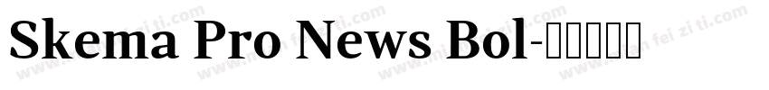 Skema Pro News Bol字体转换